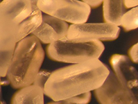 Close up of HMX crystals, produced by Chemring Nobel